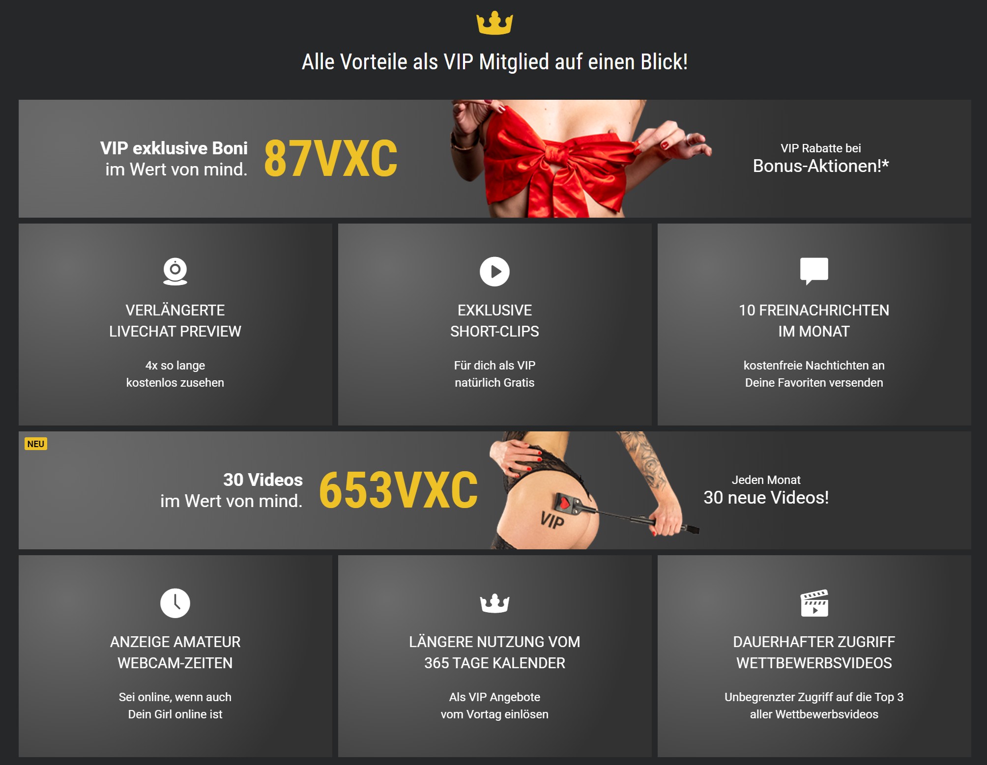 Visit-X – Übersicht der VIP-Vorteile und VXC-Gegenwerte