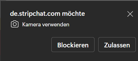 Browser Kamera-Freigabe Dialog